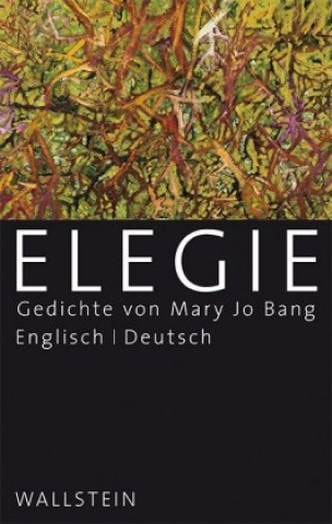 Kniha Elegie Mary Jo Bang