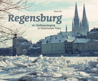 Knjiga Regensburg Otmar Fritz