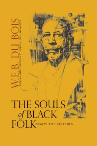 Kniha Souls of Black Folk W E B Du Bois