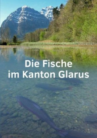 Könyv Die Fische im Kanton Glarus Andreas Zbinden