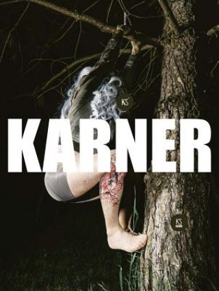 Kniha Karl Karner Karl Karner