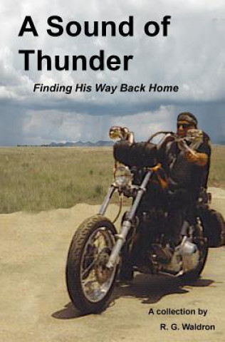 Buch A Sound of Thunder R G Waldron