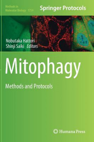 Knjiga Mitophagy Nobutaka Hattori