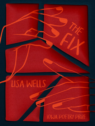 Knjiga Fix Lisa Wells