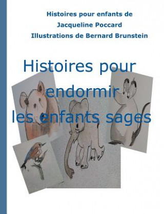 Kniha Histoires pour endormir les enfants sages Bernard Brunstein