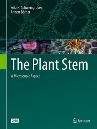 Kniha Plant Stem Fritz H. Schweingruber