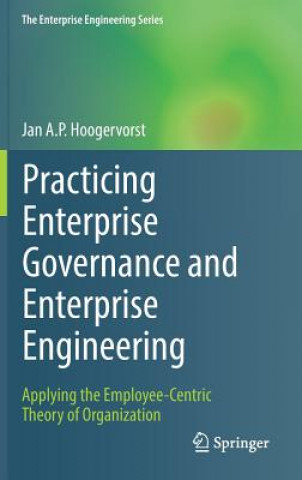Könyv Practicing Enterprise Governance and Enterprise Engineering Hoogervorst