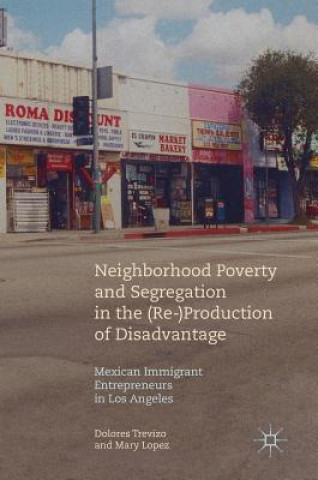 Kniha Neighborhood Poverty and Segregation in the (Re-)Production of Disadvantage Dolores Trevizo