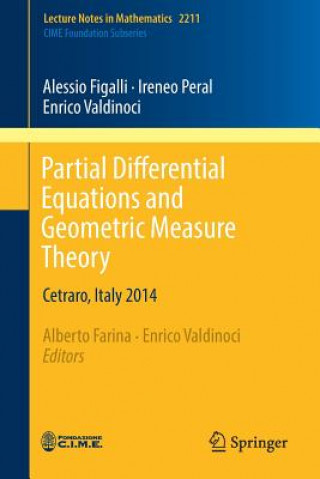 Kniha Partial Differential Equations and Geometric Measure Theory Alessio Figalli