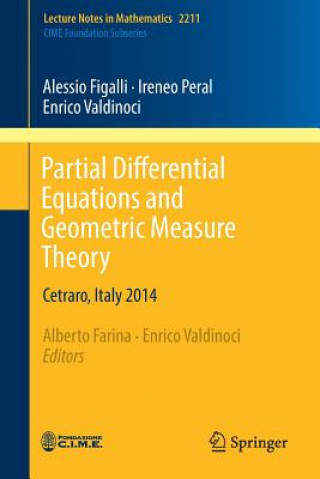 Buch Partial Differential Equations and Geometric Measure Theory Alessio Figalli