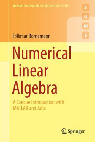 Könyv Numerical Linear Algebra Folkmar Bornemann