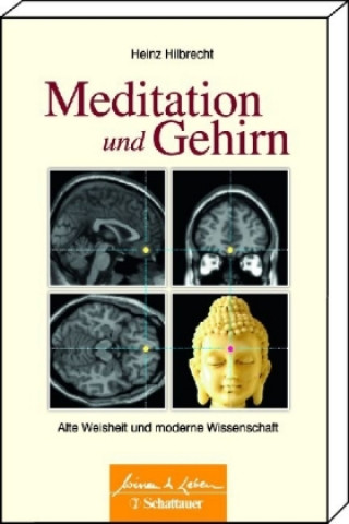 Książka Meditation und Gehirn (Wissen & Leben) Heinz Hilbrecht