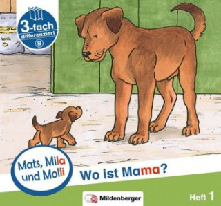 Kniha Mats, Mila und Molly - Wo ist Mama? - Schwierigkeitsstufe B. H.1 Helge Weinrebe