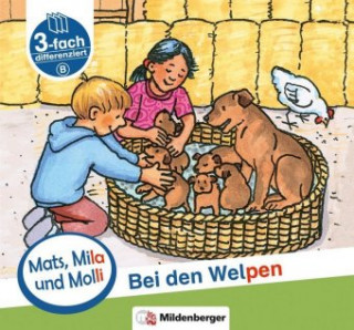 Könyv Mats, Mila und Molly - Bei den Welpen - Schwierigkeitsstufe B. H.3 Helge Weinrebe