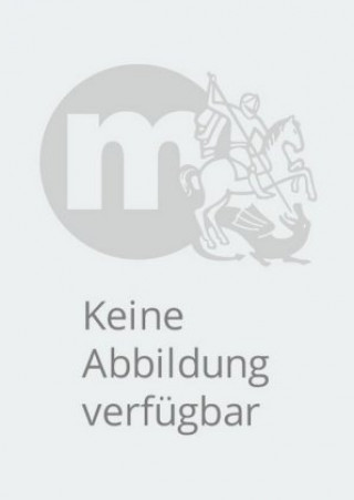 Książka ABC der Tiere 4 - Arbeitsheft Sprachbuch, silbierte Ausgabe Kerstin Mrowka-Nienstedt