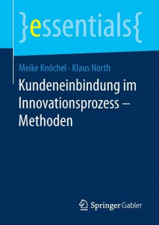 Kniha Kundeneinbindung Im Innovationsprozess - Methoden Meike Knöchel