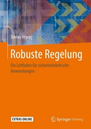 Boek Robuste Regelung Tomas Hrycej
