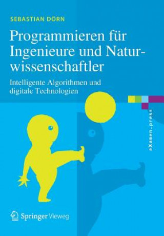 Kniha Programmieren Fur Ingenieure Und Naturwissenschaftler Sebastian Dörn