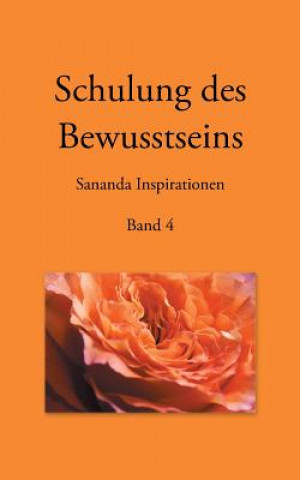 Kniha Schulung des Bewusstseins - Sananda Inspirationen Heike Stuckert