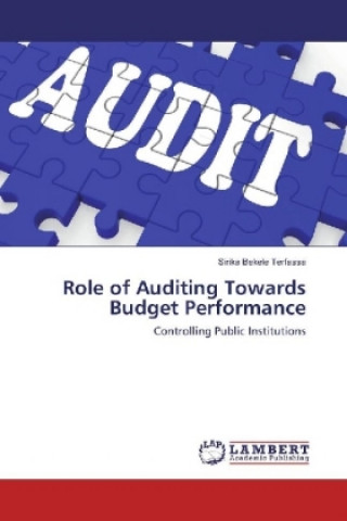 Könyv Role of Auditing Towards Budget Performance Sirika Bekele Terfassa