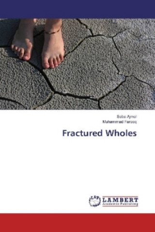 Buch Fractured Wholes Saba Ajmal