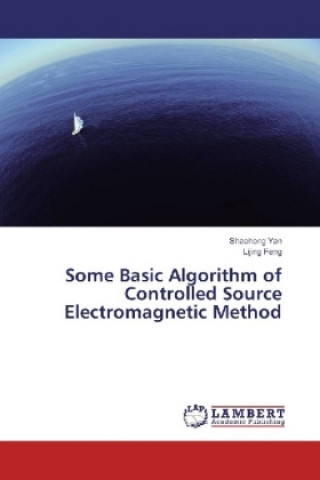 Knjiga Some Basic Algorithm of Controlled Source Electromagnetic Method Shaohong Yan
