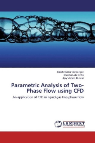 Buch Parametric Analysis of Two-Phase Flow using CFD Satish Kumar Dewangan