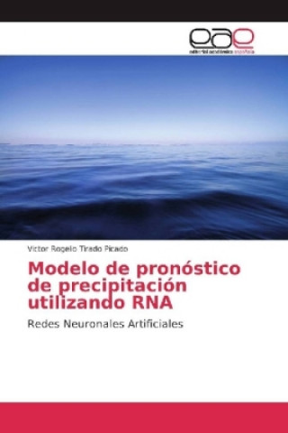 Könyv Modelo de pronóstico de precipitación utilizando RNA Victor Rogelio Tirado Picado