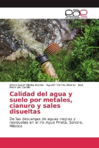 Kniha Calidad del agua y suelo por metales, cianuro y sales disueltas Arturo Isarel Villalba Atondo