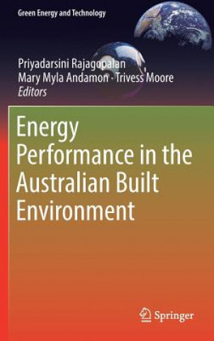 Kniha Energy Performance in the Australian Built Environment Mary Myla Andamon