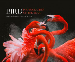 Knjiga Bird Photographer of the Year Chris Packham