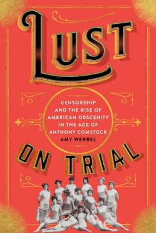 Knjiga Lust on Trial Amy Werbel