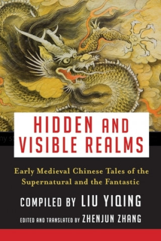 Kniha Hidden and Visible Realms Professor Zhenjun Zhang