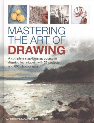 Kniha Mastering the Art of Drawing Ian Sidaway
