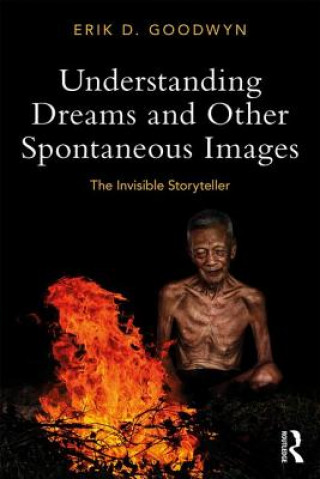 Kniha Understanding Dreams and Other Spontaneous Images GOODWYN