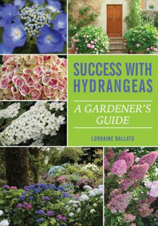 Carte Success With Hydrangeas Lorraine Ballato