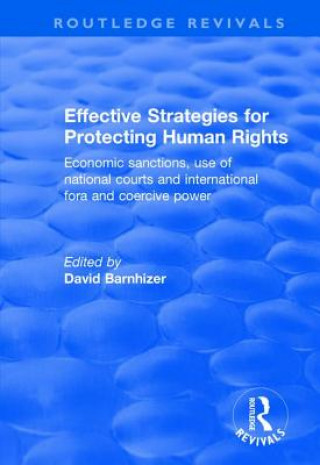 Książka Effective Strategies for Protecting Human Rights 