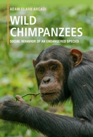 Carte Wild Chimpanzees Arcadi