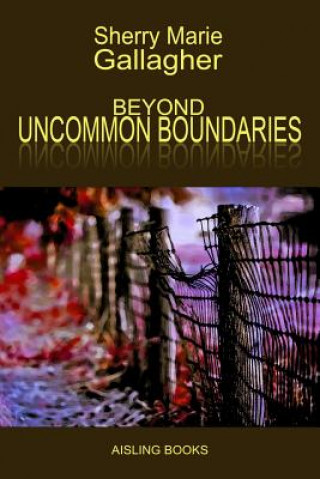 Könyv Beyond Uncommon Boundaries SHERRY MA GALLAGHER