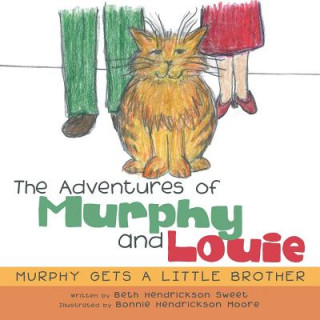 Könyv Adventures of Murphy and Louie B HENDRICKSON SWEET