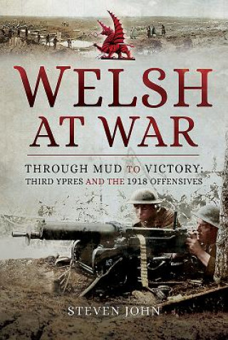Knjiga Welsh at War STEVEN JOHN