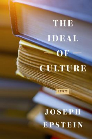 Kniha Ideal of Culture Joseph Epstein