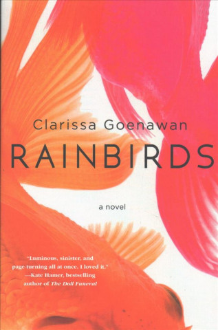 Kniha Rainbirds Clarissa Goenawan