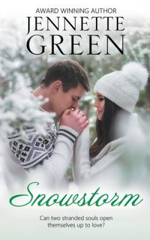 Boek Snowstorm Jennette Green