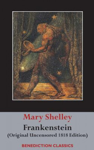 Książka Frankenstein; or, The Modern Prometheus MARY WOLLST SHELLEY