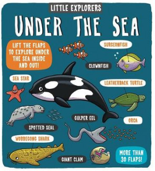 Kniha Little Explorers: Under the Sea Dynamo Ltd.