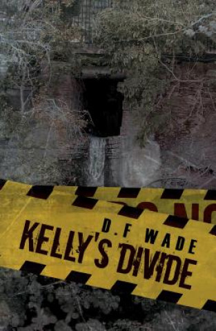 Buch Kelly's Divide D. F Wade