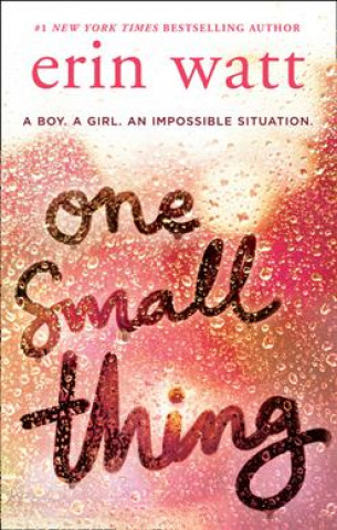 Kniha One Small Thing Erin Watt