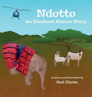 Книга Ndotto Gail Clarke