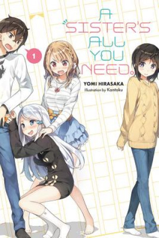 Knjiga Sister's All You Need., Vol. 1 (light novel) Yomi Hirasaka